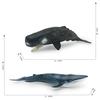 Simulation Of Marine Animals 2 Whale Models Children'S Cognition Of Underwater Creatures Sperm Whale Blue Whale Static Ornament