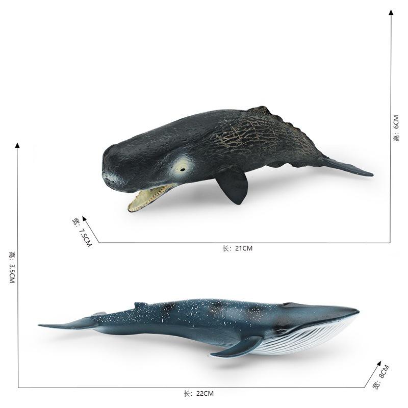 Simulation Of Marine Animals 2 Whale Models Children'S Cognition Of Underwater Creatures Sperm Whale Blue Whale Static Ornament