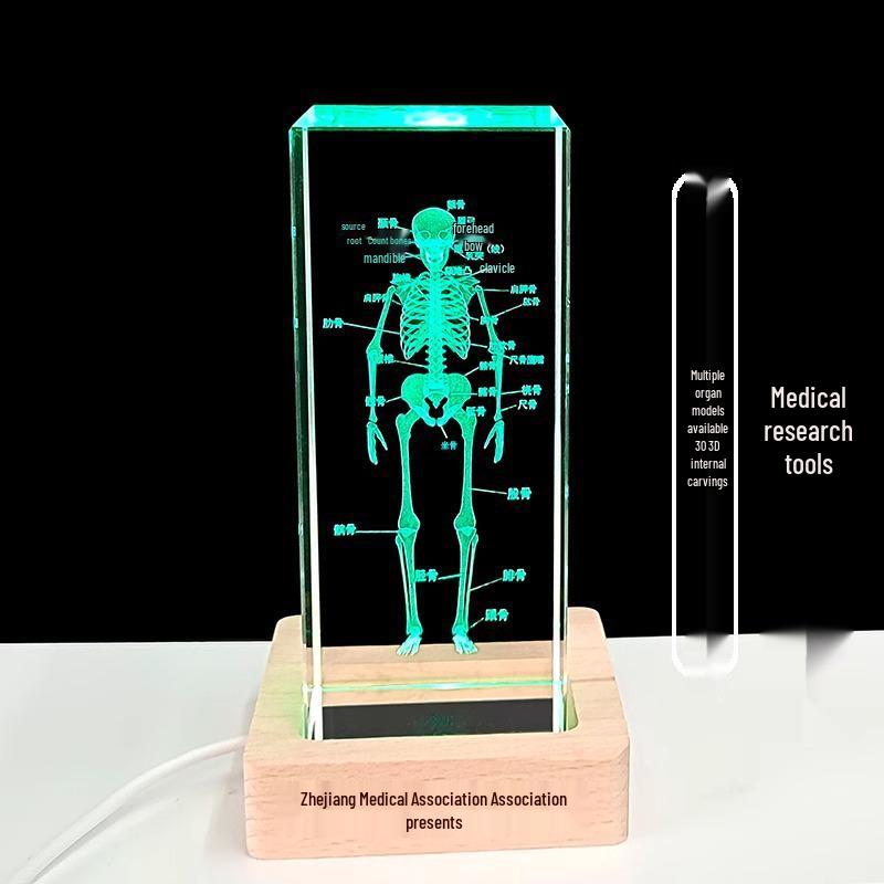 3D резная модель мозга скелета, орнамент - Белый хрустальный сувенир для студентов-медиков и врачей