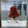 Fake Aquarium Christmas Ornament Plastic Artificial Christmas Tree Plants Garden Decoration
