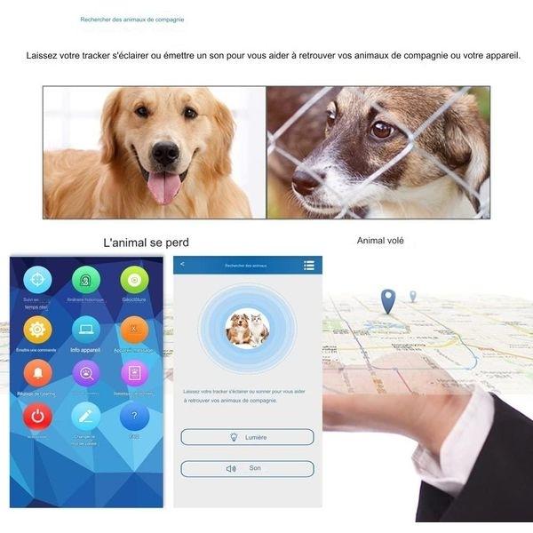 Collier GPS 4G pour Chien Suivi Temps Réel Alerte Anti-Fugue