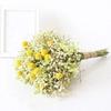 Натуральные сухоцветы Букет гипсофилы Композиция из сухоцветов Цветочная свадьба Высококачественное украшение для дома Сухоцветы