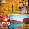 Autumn Forest Living Room Decorative Cloth Scenery Background Cloth Bedroom Tapestry Room Hanging Cloth Wall Tapestry Wall Cloth