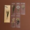 Momo Dried Flower Bookmark Set: 6 Translucent PET Designs for Journals & Books