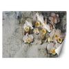 Wallpaper Blooming Orchid Flowers Wall