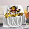 1PC  Blanket, High quality Comfortable for All Seasons, Home Decor, Warmth and Comfort