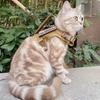 Cat Harness Vest Military Dog Working Training Accessories Tactical Leash with Patch Set for Cats and Small Dogs