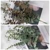 Realistic Simulation Plastic Flowers and Green Plants Wedding Crafts Artificial Eucalyptus Bouquet
