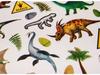 Stickers - Dinosaurs - Silver Finishes