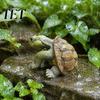 Realistic Turtle for Aquarium Decor Statue, Tortoise Figurine Plant Pot Hanger, Resin Cute Ornament Desk Micro Landscape Decor, Decoration Fish