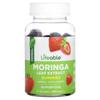 Moringa Leaf Extract Gummies, Natural Strawberry Flavor, 60 Gummies (2,000Mg Per Gummie)