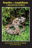 Книга Reptiles and Amphibians of Red River Gorge & Greater Red River Basin