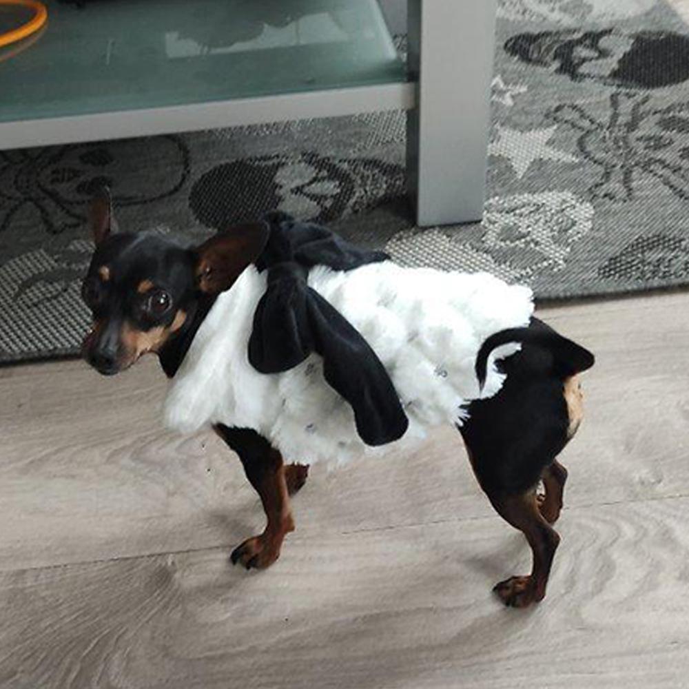 Одежда для домашних животных Элегантное роскошное зимнее пальто с мехом для собак, свитер для маленьких средних кошек, одежда с бантом, модная зимняя куртка для щенков, комбинезон для котенка