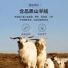 Men's Cashmere & Modal Air Layer Round Neck Short-Sleeved T-Shirt