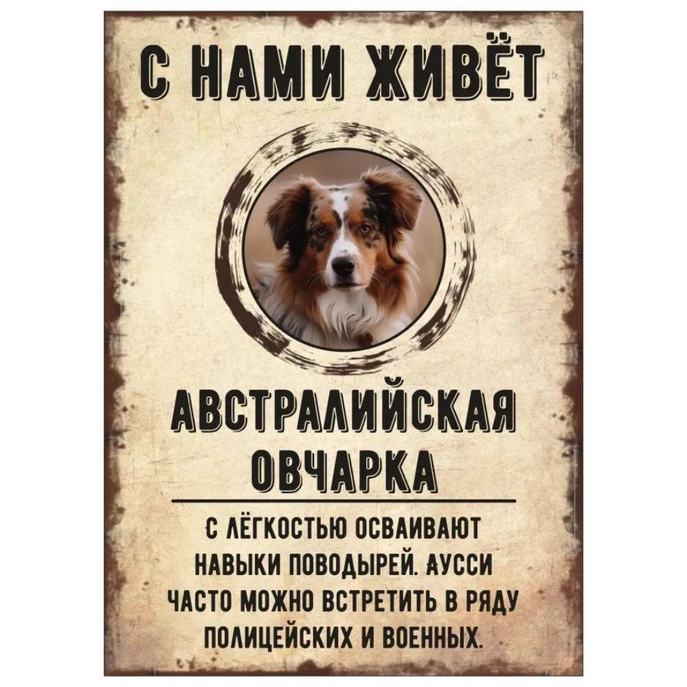ОСТОРОЖНО СОБАКА Забавная Шнауцер Металлическая Табличка Декор для Питомца 20x30см