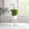 Anti-pressure Herb Saver Dust-proof Vegetables Preservation Bottle  Cilantro Parsley Basil Mint