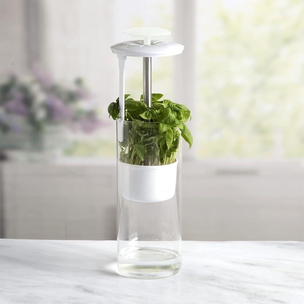 Anti-pressure Herb Saver Dust-proof Vegetables Preservation Bottle Cilantro Parsley Basil Mint