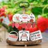 Farm Strawberry Theme Tiered Tray Decoration Creative Desktop Decoration Ornament Home Decor Craft