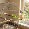 Plastic Magnetic Parrot Pole Bite Resistant Parrot Standing Stick  Bird Cage Accessories