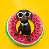 20PCS Dog Bow Tie Summer Fashion Pet Grooming Accessories Handmade Adjustable Collar Bowties For Dogs and Cats Pet Product