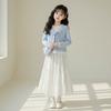 Girls' Sweet Set - Children's Fashion Long-Sleeved Top and Half-Dress Set