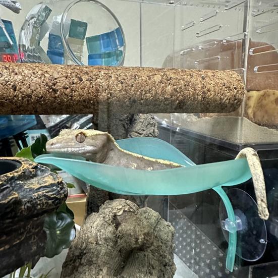 3 Pcs Turtle Basking Platform Leaf Shape Bearded Dragon Basking Platform with Suction Cups Tree Frog Tank Accessories for Leopard Gecko Tank Decor