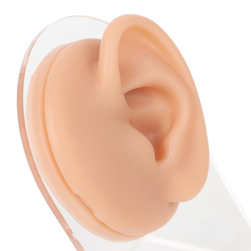 Силиконовые модели ушей, инструменты для пирсинга, ушные шпильки, дисплей с акриловой подставкой