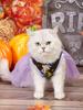 Хэллоуинское платье-пачка для собаки с принтами ведьмы, летучей мыши/паутины, тюлевая юбка, костюм для питомца, одежда для маленьких собак/кошек, фестивальная вечеринка