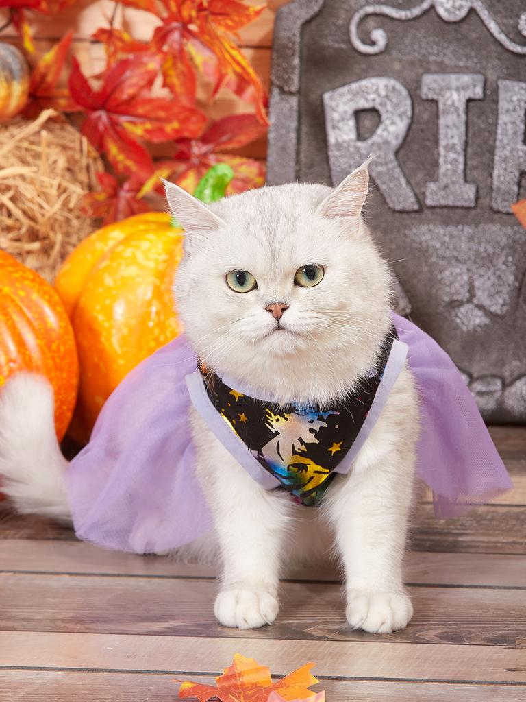 Хэллоуинское платье-пачка для собаки с принтами ведьмы, летучей мыши/паутины, тюлевая юбка, костюм для питомца, одежда для маленьких собак/кошек, фестивальная вечеринка