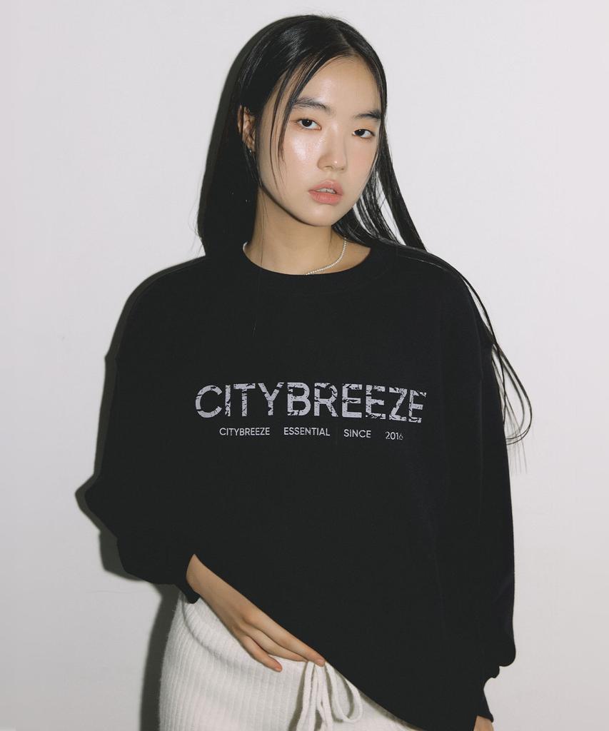 CITYBREEZE Essential Crack Logo Sweatshirt_Black