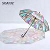 British Style Rainforest Arch Transparent Vintage Umbrella Painted Glass Transparent Rain Long Handle Automatic Umbrella
