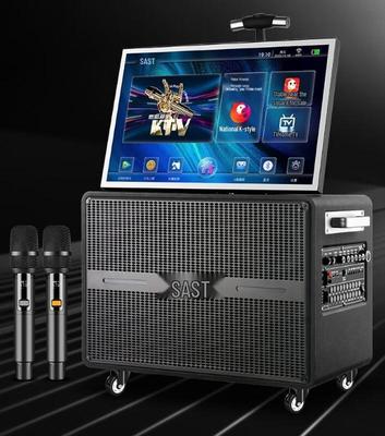 SAST SW-76 Портативная видеокараоке-система KTV Вилка CN (адаптер в комплекте)