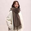 Tassel Imitation Cashmere Scarf Korean Style Women Shawl Elegant Long Wool Scarf  Autumn