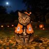 Костюм для вечеринки кошки, Костюм Хэллоуинской ведьмы, Милый плащ-призрак, Забавный наряд для питомца на фестиваль, Косплей-накидка для котенка, Праздничные аксессуары