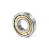 NJ310 High-Speed Low-Noise Cylindrical Roller Bearing for Motors and Reducers