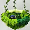 Parrot Jungle Hammock Swing Cockatiel Budgie Lovebird Rest Play Nest Metal Toy