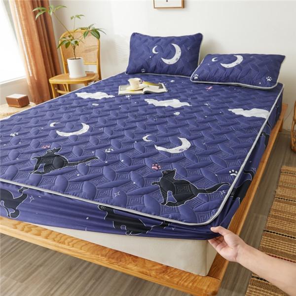 Cotton Winter Warm Thicken Sheet Bed Fitted Sheet Bedcover Printing Bed Mattress Cover Protector Sheet No Pillowcase