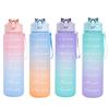750ml Gradient Drinking Bottle Large Capacity Leak-proof Ins Style Travel Straw Jug Daily Use