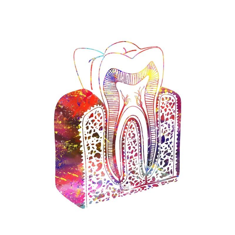 Акварельная картина на холсте «Зубной имплантат», Постер «Зубная фея», Стоматологическое искусство, Принт анатомии зуба, Настенные картины, Декор для больницы, клиники