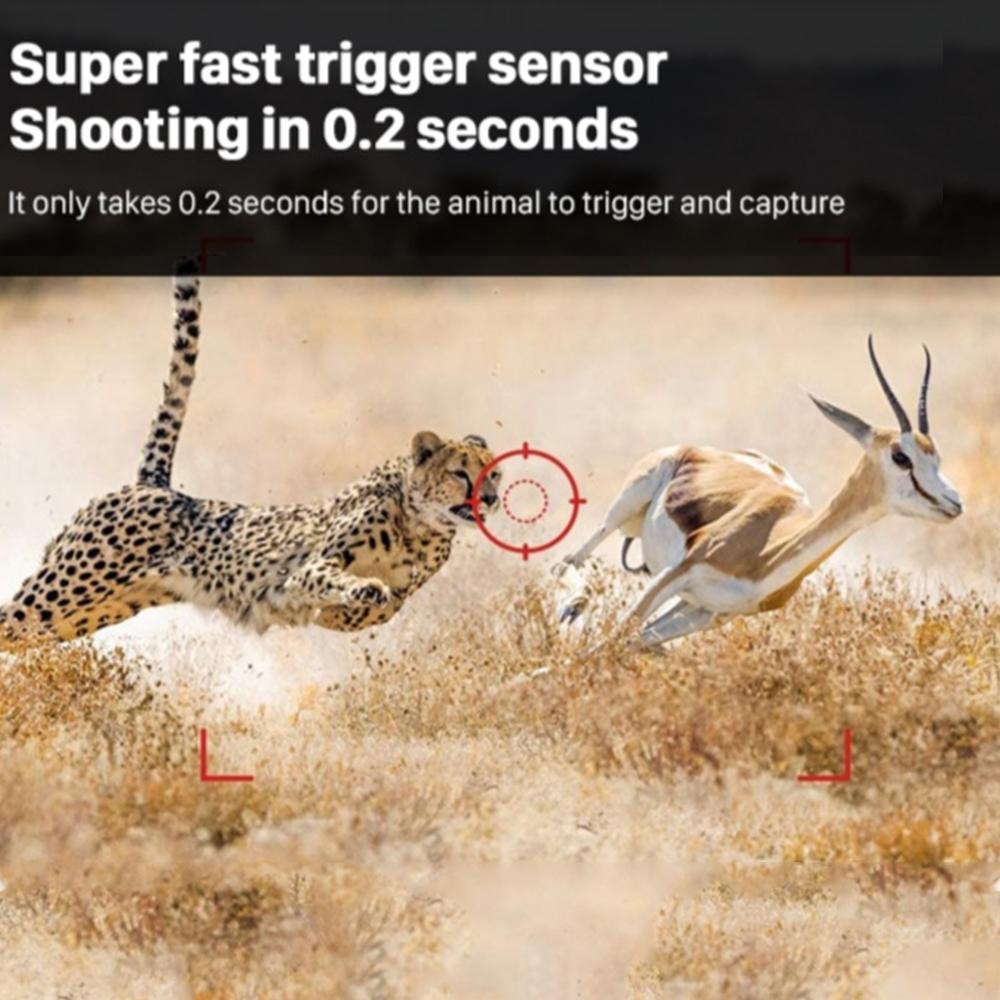 Hb561 камера для троп дикой природы, отпугиватель птиц, охота, разведка, 2,8 дюйма, 20 МП, 2,7 К, 35 м, цифровая камера дальнего действия