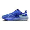 Nike Кроссовки Air Zoom Structure 25 Hyper Royal Мужские Синий Светло-Армейский-Синий Полярный DJ7883-403