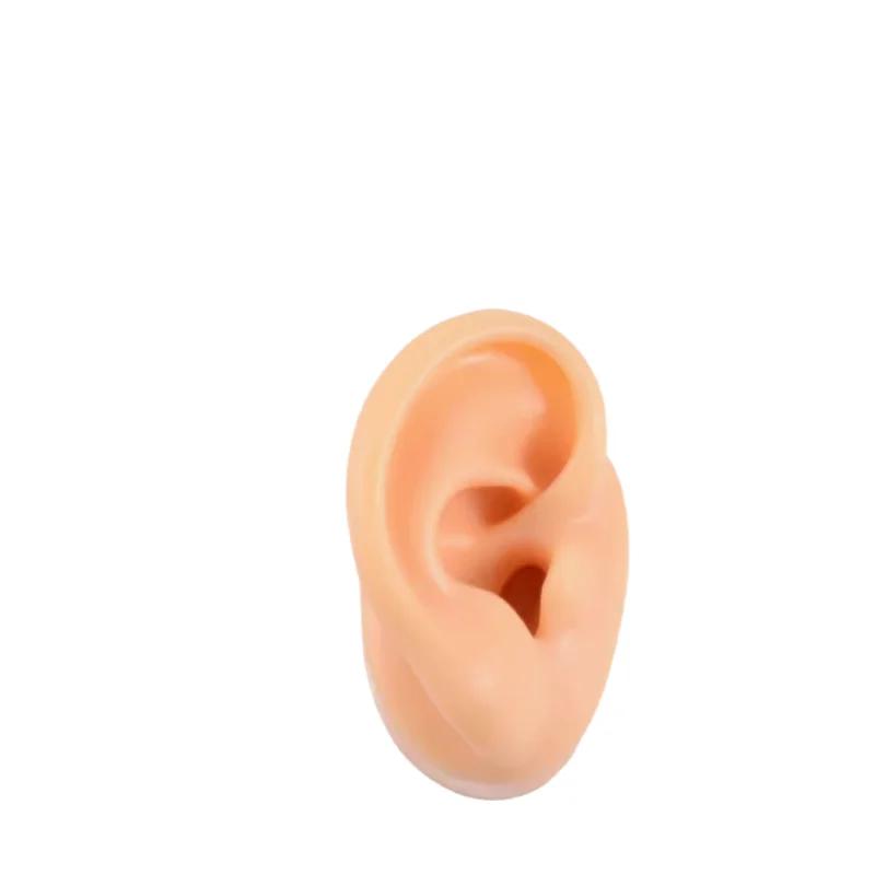 5D Силиконовая Модель Искусственного Уха, Имитирующая Настоящее, Пирсинг Сережек, Пирсинг, Пирсинг, Обучение, Слуховой Аппарат, Практика Акупунктуры, Реквизит