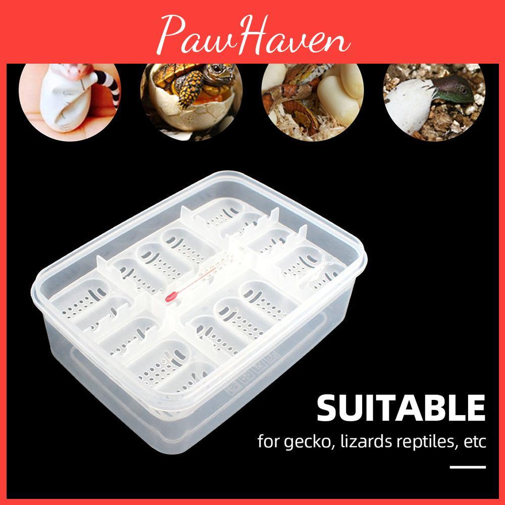 Egg Reptile Tray Egg Reptile Box Reptile Breeding Box Reptile Incubation