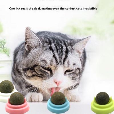 Кошки – Игрушки для кошек