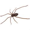 3D Design Simulation Spider Toy Magnet Spider Prank Toys Spiders Decoration  Halloween Party