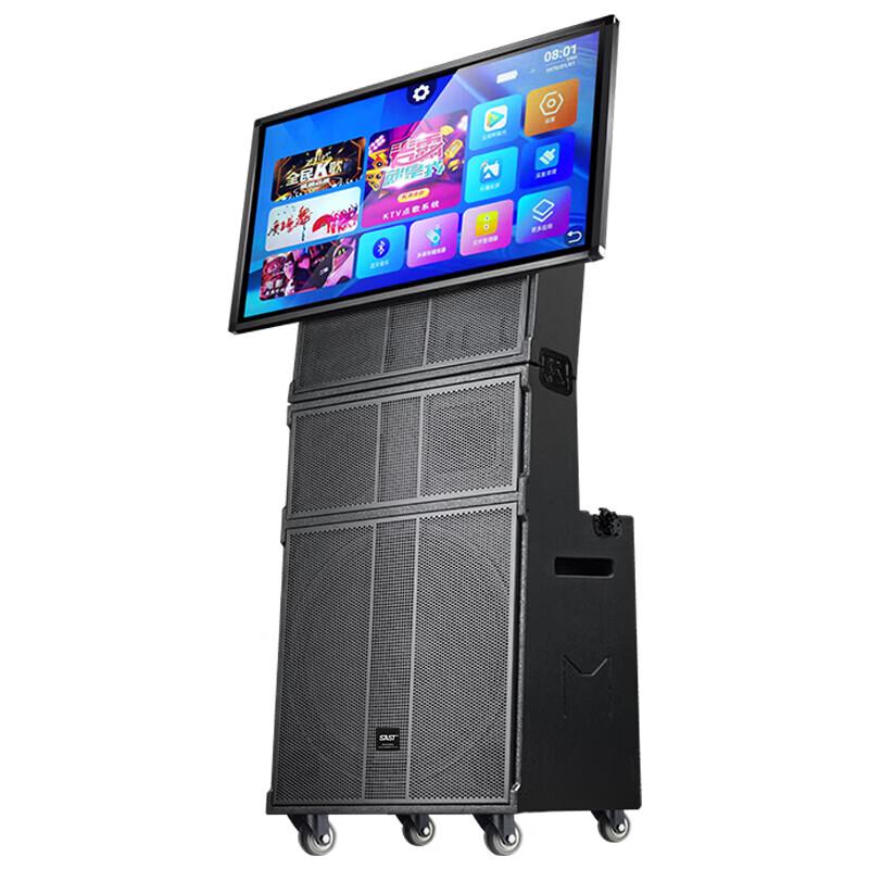 SAST ST-2118 Portable KTV Speaker System CN plug (adapter included)