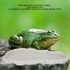 NW29 Пластиковый кормушка-поилка для рептилий Змеи Лягушки Поилка Кормушка Ландшафтные украшения