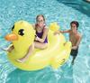 Intex 57288 Double Flamingo Adult Inflatable Swimming Ring - Thick Oversized Floating Bed for Kids & Adults