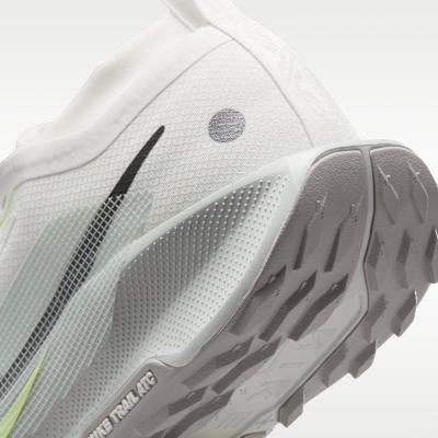 Nike Pegasus Trail 5 Gore-Tex Summit White Light Silver College Grey S