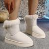 Snow Boots Women's Winter Velvet and Thickened Warm Cotton Shoes 2025 New Platform Non-slip Mid-barrel Snow Cotton